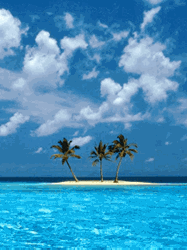 pic for coco island